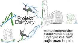 www.projektefektywny.pl