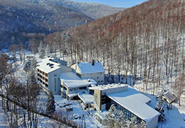 www.magnusresort.pl